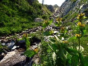 Grande anello dei Laghi della conca del Calvi-26lu23 - FOTOGALLERY